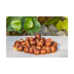 Avellanas crudas - 1kg